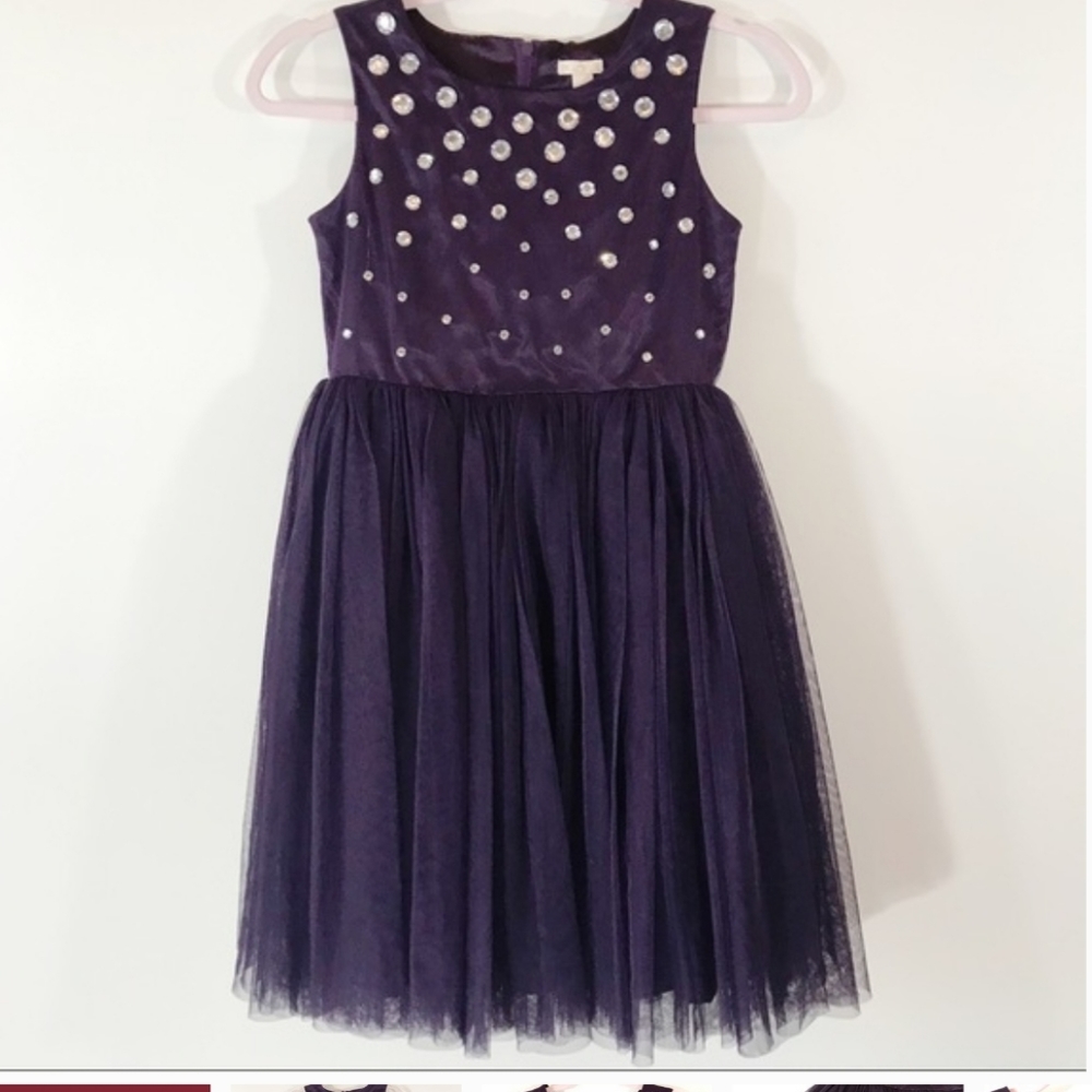 A purple tulle rhinestone dress